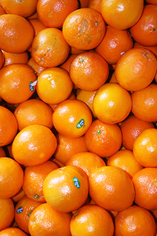naranja.jpg - Frutería de Alimentación Yolanda